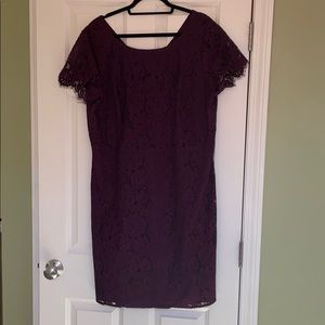 PURPLE LACE LOFT DRESS 💜 Worn once